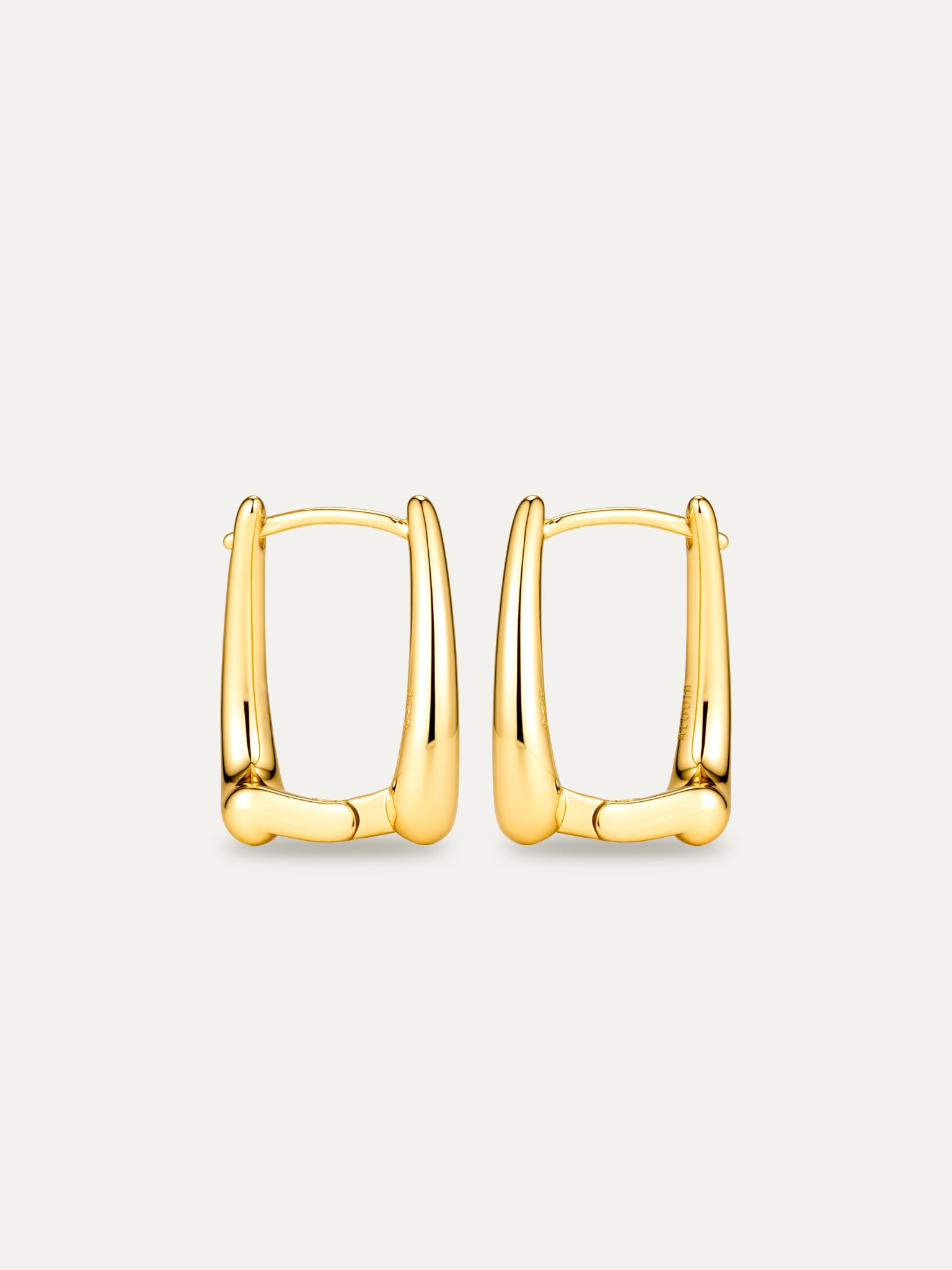 Not Your Ordinary Hoops